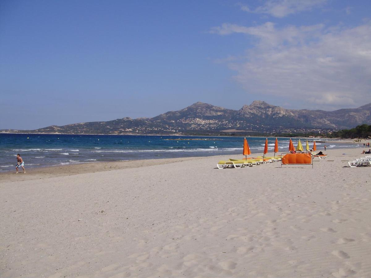Appartement F1 Calvi A 150 Metres De La Plage ภายนอก รูปภาพ