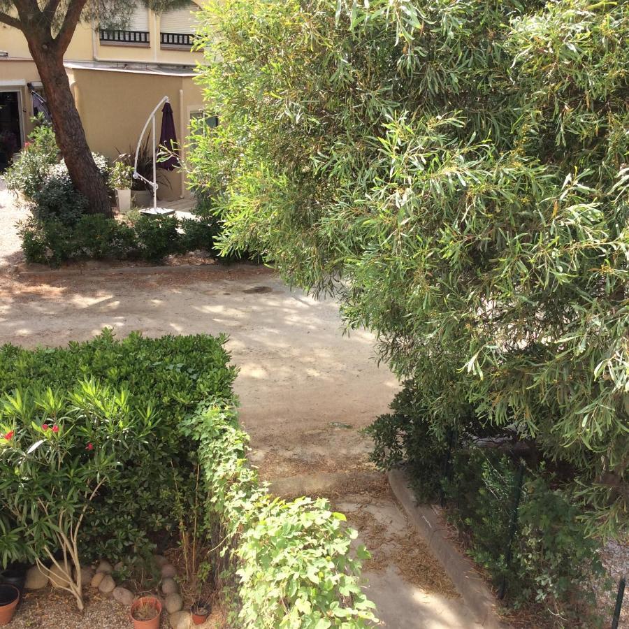 Appartement F1 Calvi A 150 Metres De La Plage ภายนอก รูปภาพ